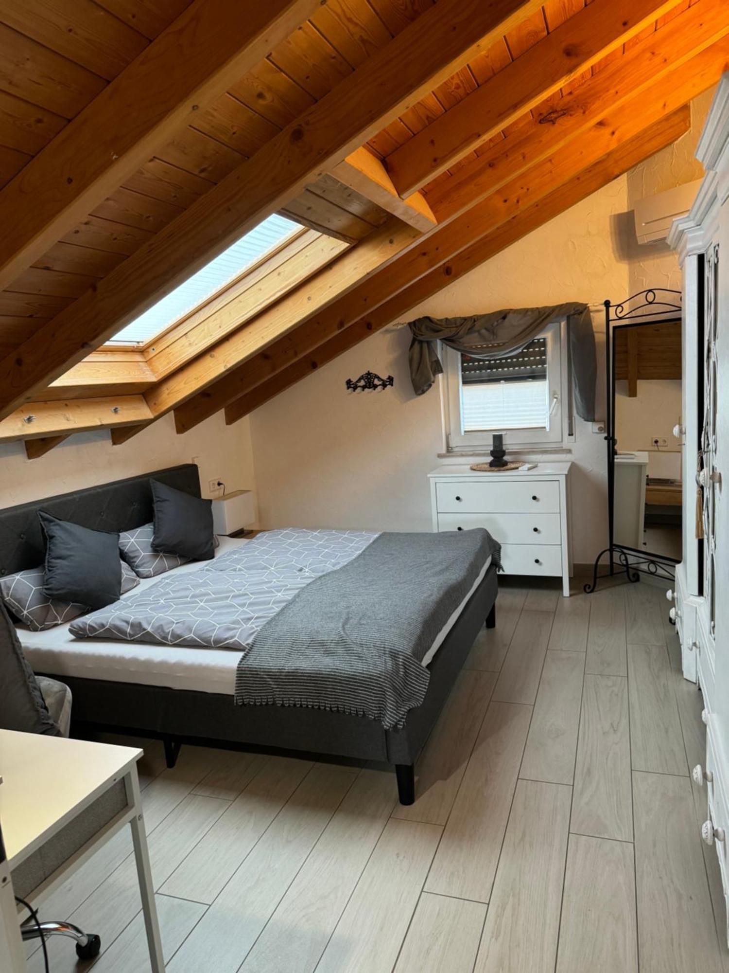Spacy 3 Bedroom Plus Sleeping Couch Apartment Work&Travel Close To Heidelberg Dielheim Dış mekan fotoğraf